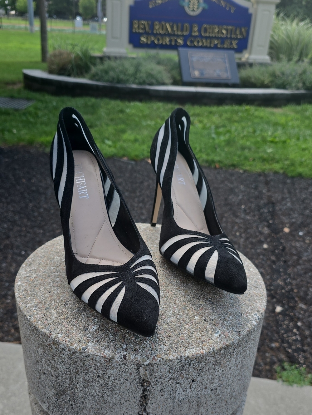 Striped Black and White Pointed-Toe Pumps - Women's Dress Heels